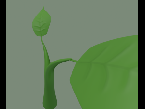 plant sprout Model 3D