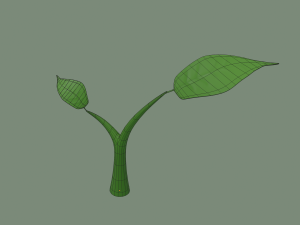 plant sprout Model 3D