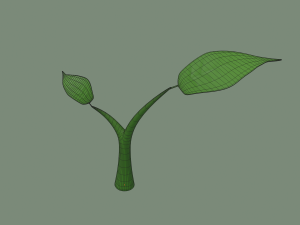 plant sprout Model 3D