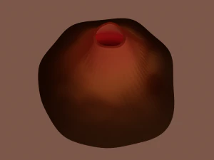 volcano 3D Model