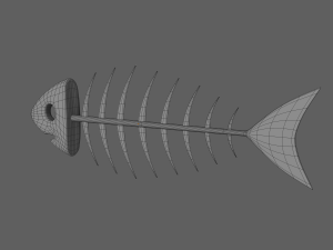 fish bone 3D 모델