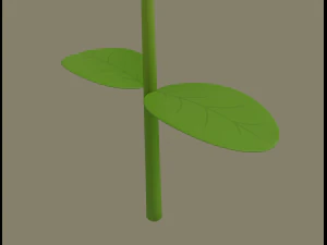 flower 3D Model