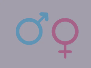 гендерные символы 3D Модель