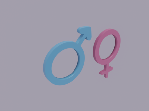 gender symbols 3Dモデル