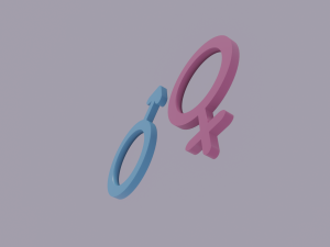 gender symbols 3Dモデル