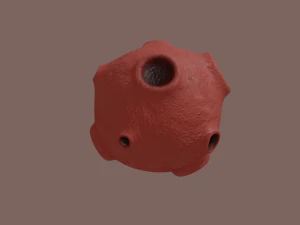 asteroit 3D Model