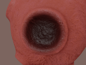 asteroid Modelo 3D