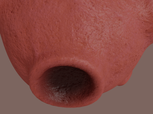 asteroid Modelo 3D