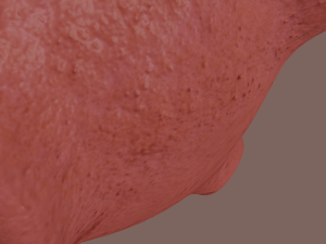 asteroid Modelo 3D