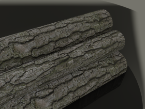 central fireplace 3D Model