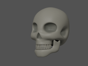 Skull 3Dモデル
