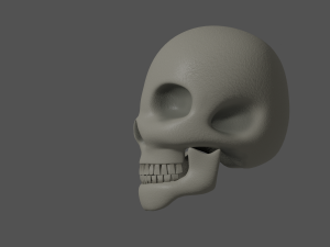 Skull 3Dモデル