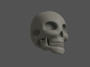 Skull 3Dモデル