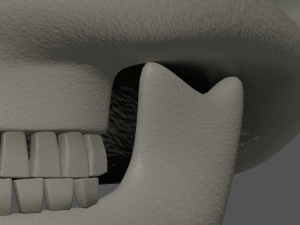 Skull 3Dモデル