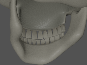 Skull 3Dモデル