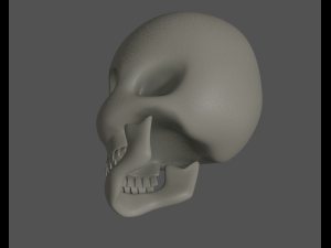 Skull 3Dモデル