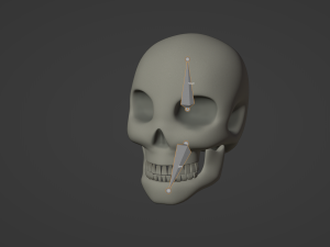 Skull 3Dモデル