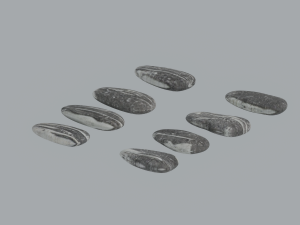 Sunflower Seeds 3Dモデル