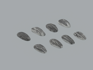 Sunflower Seeds 3Dモデル