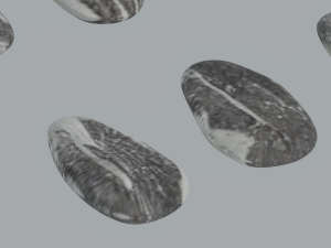 Sunflower Seeds 3Dモデル