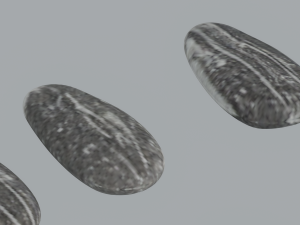 Sunflower Seeds 3Dモデル
