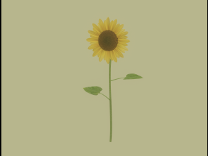 Sunflower 3D Модель