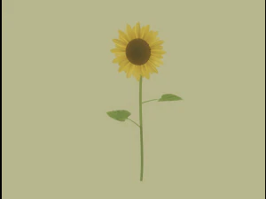 Sunflower 3D Model