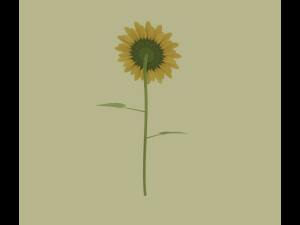 Sunflower 3D Модель