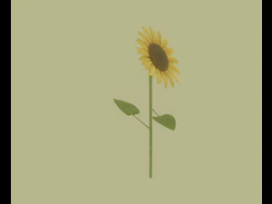Sunflower 3D Model