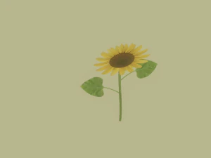 Sunflower 3D Model