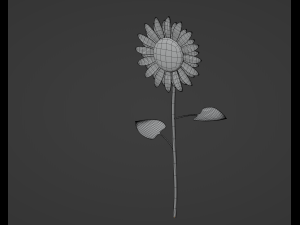 Sunflower 3D Модель