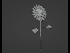 Sunflower 3D Model