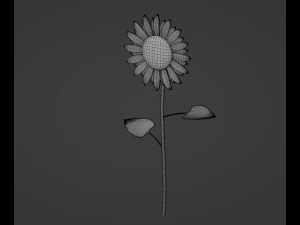 Sunflower 3D Model