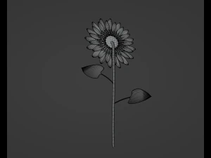 Sunflower 3D Model