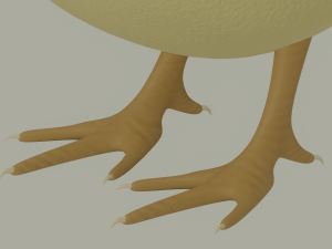 Chick Modelo 3D