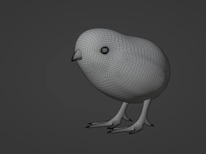 Chick 3D Model