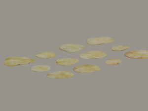 Chips Model 3D