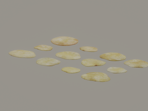 Chips Model 3D