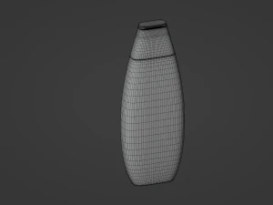 Shampoo Bottle 3D Model