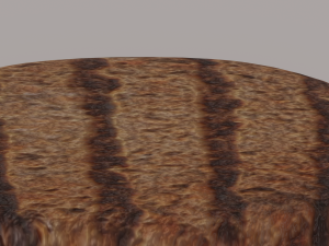Patty 3D Model