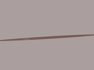 Worm 3Dモデル