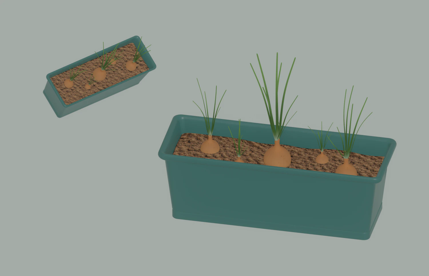 Planter Box with Growing Onions 3D Model .c4d .max .obj .3ds .fbx .stl .blend