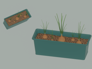 Planter Box with Growing Onions 3D Model