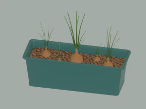 Planter Box with Growing Onions 3D Model