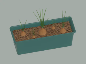 Planter Box with Growing Onions 3D Model