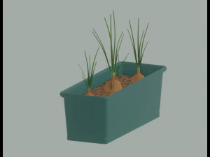 Planter Box with Growing Onions 3D Model