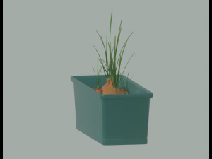 Planter Box with Growing Onions 3D Model