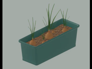 Planter Box with Growing Onions 3D Model