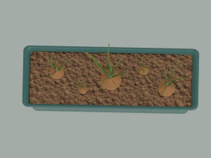 Planter Box with Growing Onions 3D Model