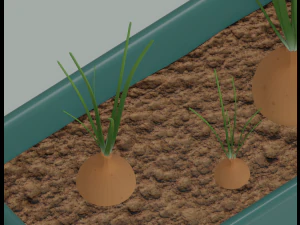 Planter Box with Growing Onions 3D Model